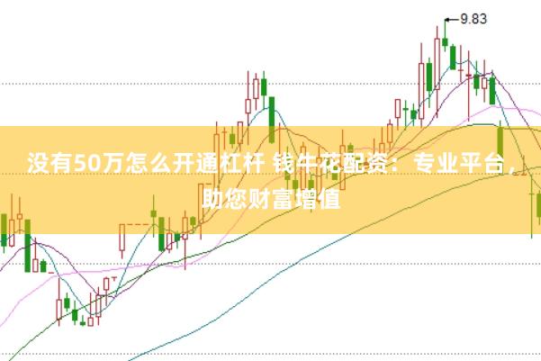 没有50万怎么开通杠杆 钱牛花配资：专业平台，助您财富增值