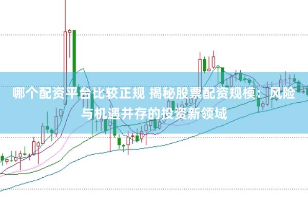 哪个配资平台比较正规 揭秘股票配资规模：风险与机遇并存的投资新领域