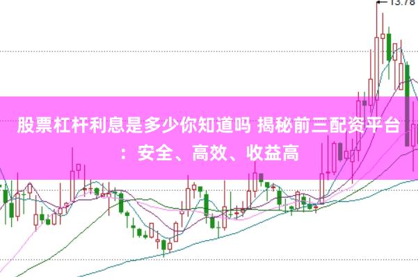 股票杠杆利息是多少你知道吗 揭秘前三配资平台：安全、高效、收益高