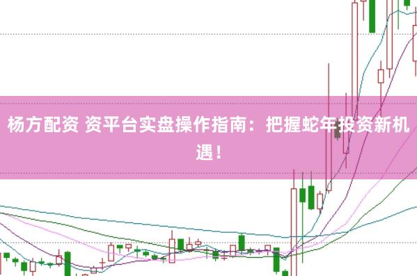 杨方配资 资平台实盘操作指南：把握蛇年投资新机遇！
