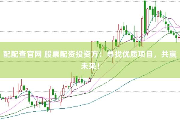 配配查官网 股票配资投资方：寻找优质项目，共赢未来！