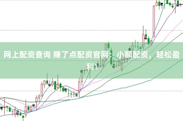 网上配资查询 赚了点配资官网：小额配资，轻松盈利！