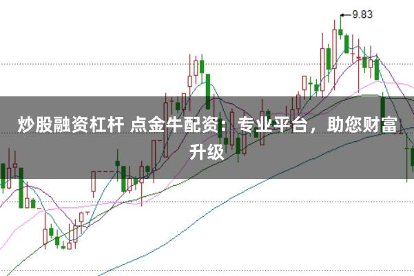 炒股融资杠杆 点金牛配资：专业平台，助您财富升级