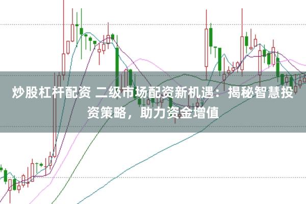 炒股杠杆配资 二级市场配资新机遇：揭秘智慧投资策略，助力资金增值