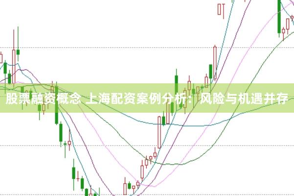 股票融资概念 上海配资案例分析：风险与机遇并存