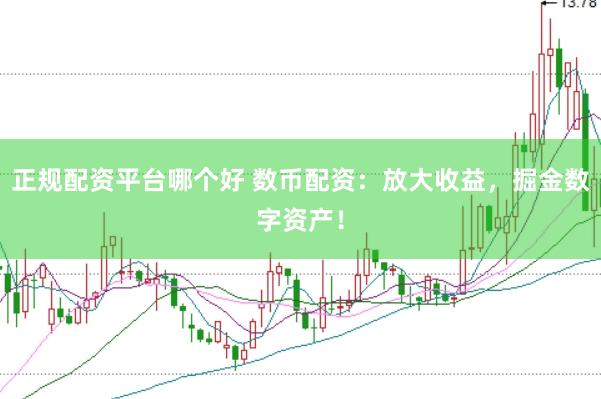 正规配资平台哪个好 数币配资：放大收益，掘金数字资产！