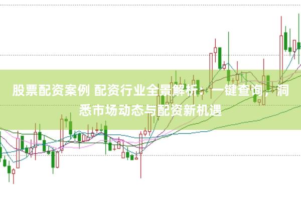 股票配资案例 配资行业全景解析：一键查询，洞悉市场动态与配资新机遇