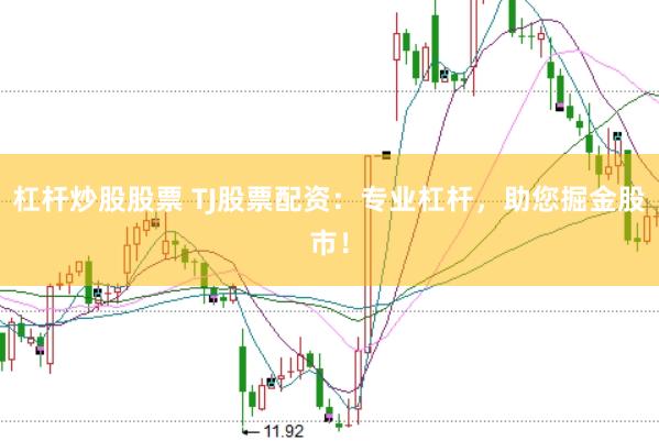 杠杆炒股股票 TJ股票配资：专业杠杆，助您掘金股市！