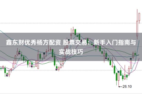 鑫东财优秀杨方配资 股票交易：新手入门指南与实战技巧