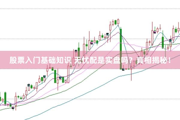 股票入门基础知识 无忧配是实盘吗？真相揭秘！