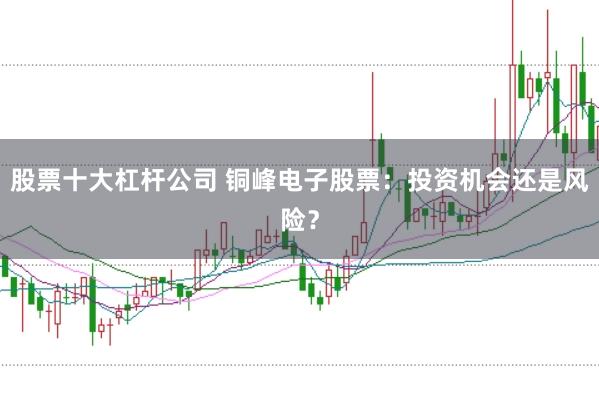 股票十大杠杆公司 铜峰电子股票：投资机会还是风险？