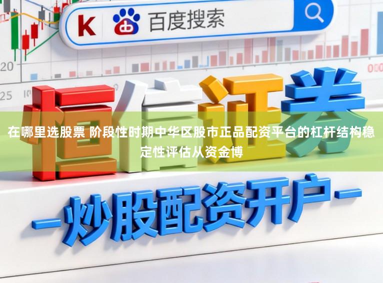 在哪里选股票 阶段性时期中华区股市正品配资平台的杠杆结构稳定性评估从资金博