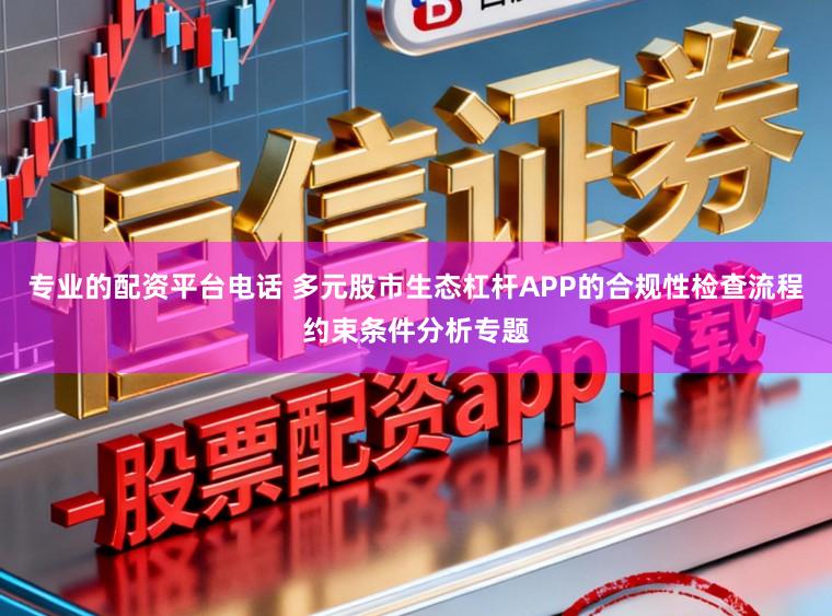 专业的配资平台电话 多元股市生态杠杆APP的合规性检查流程约束条件分析专题